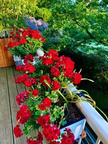 Outdoor Pictures 21