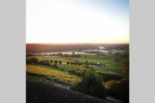 Vue panoramique sur le vignoble