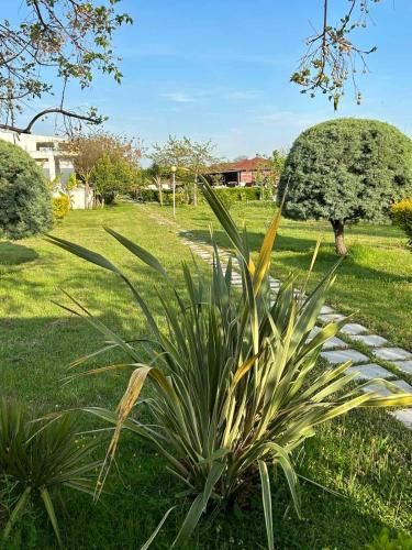 Outdoor Pictures 24