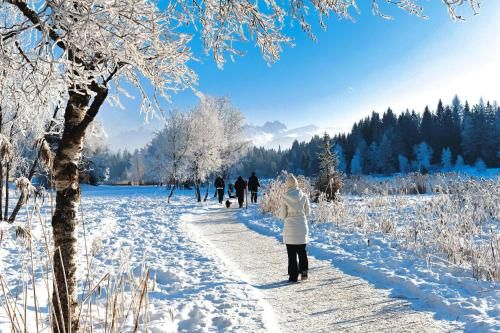 Outdoor Pictures 15