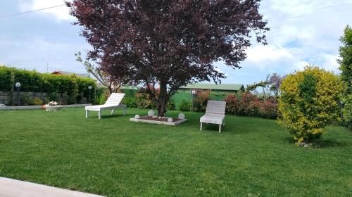 Outdoor Pictures 7