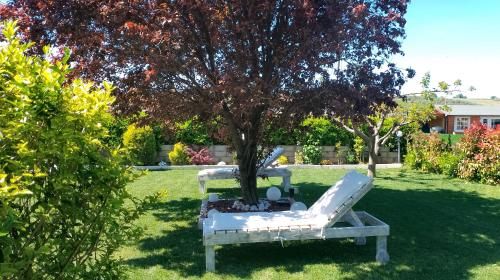 Outdoor Pictures 9