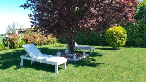 Outdoor Pictures 11
