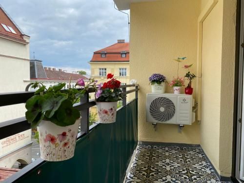 Outdoor Pictures 6