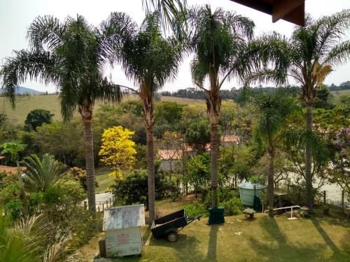 Outdoor Pictures 10
