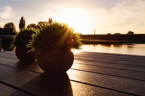 Outdoor Pictures 20