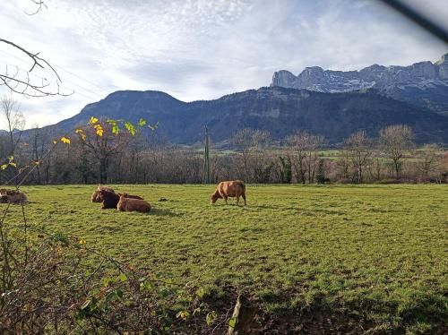 Outdoor Pictures 24