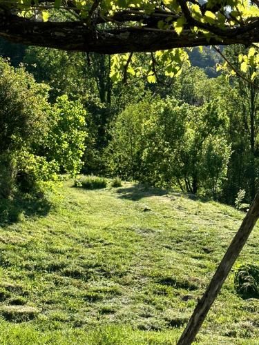 Outdoor Pictures 14