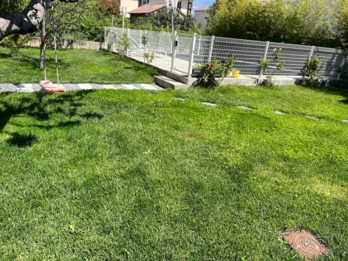 Outdoor Pictures 10