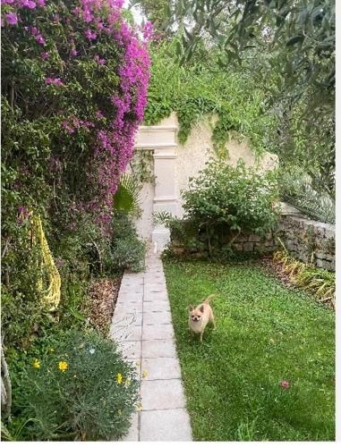 Outdoor Pictures 6