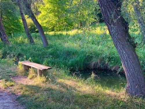 Outdoor Pictures 22