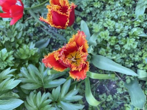 Outdoor Pictures 23