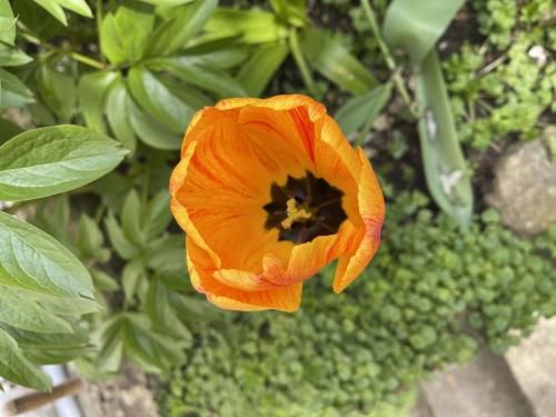 Outdoor Pictures 24