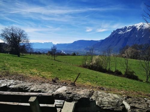 Outdoor Pictures 20