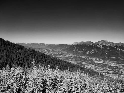 Outdoor Pictures 21