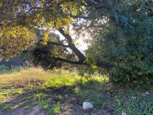 Outdoor Pictures 11