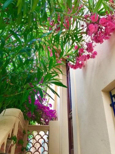 Apartment amazing views beaulieu Sur Mer