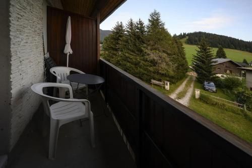 Outdoor Pictures 10