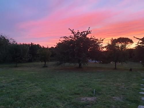 Outdoor Pictures 7