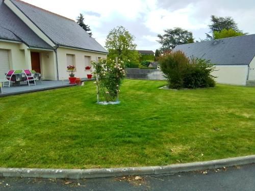 Outdoor Pictures 1