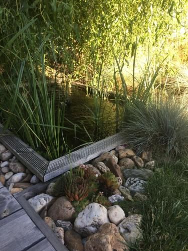 Outdoor Pictures 4