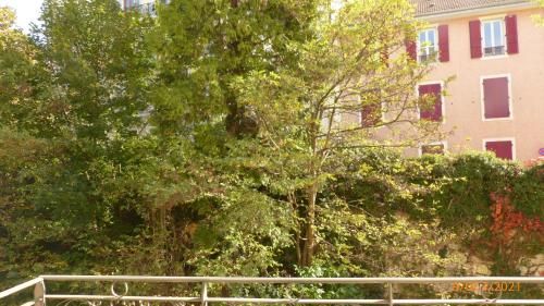 Outdoor Pictures 4