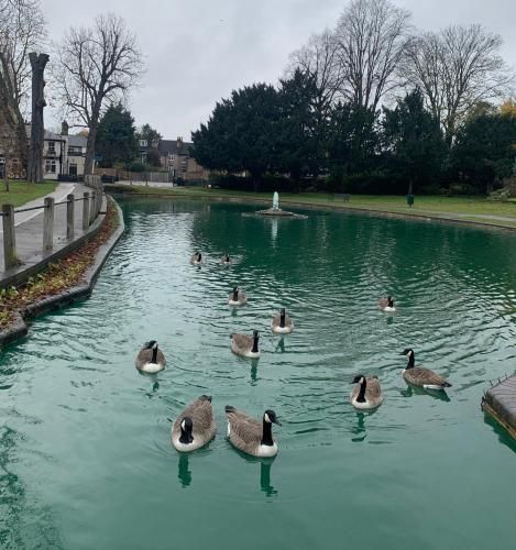 Beddington Park Lodge East