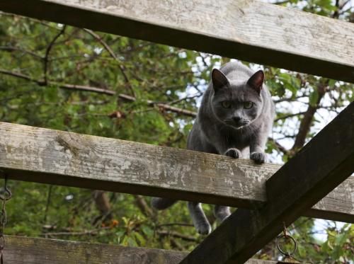Outdoor Pictures 13