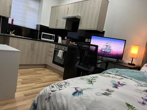Entire Private Studio Apartment - Opposite Tube Station - Near Central London & Wembley