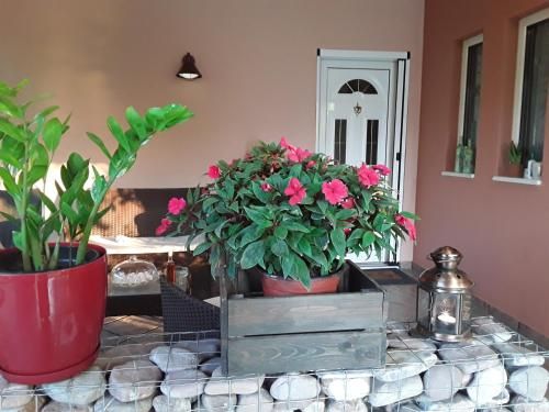Outdoor Pictures 7