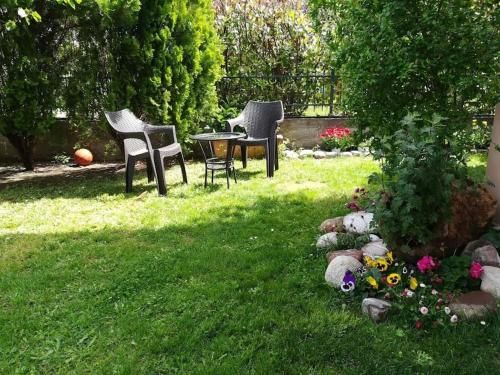Outdoor Pictures 9