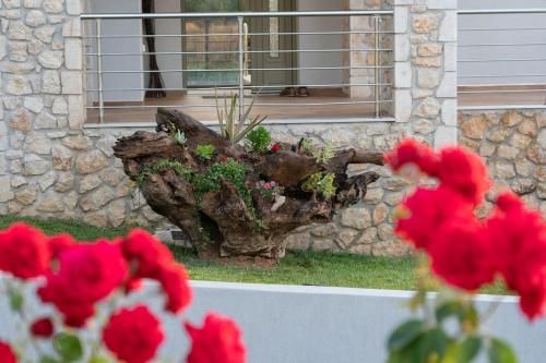 Outdoor Pictures 24