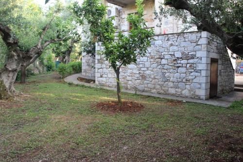 Outdoor Pictures 5