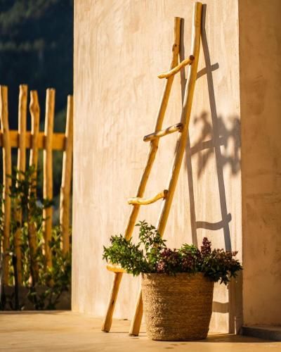 Outdoor Pictures 5