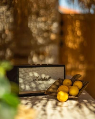 Outdoor Pictures 6