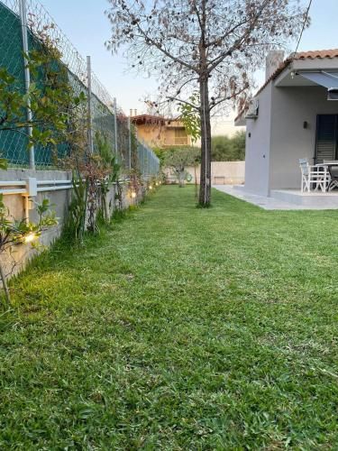 Outdoor Pictures 11