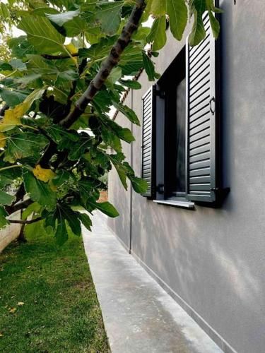 Outdoor Pictures 9