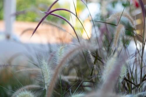 Outdoor Pictures 15