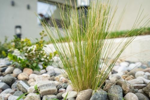 Outdoor Pictures 24