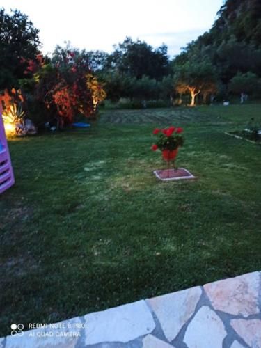 Outdoor Pictures 9
