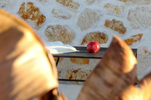 Outdoor Pictures 7