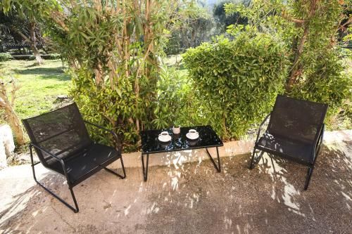 Outdoor Pictures 22