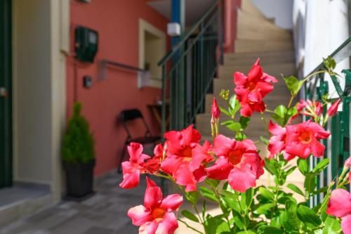 Outdoor Pictures 12
