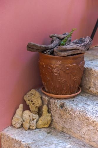 Outdoor Pictures 23