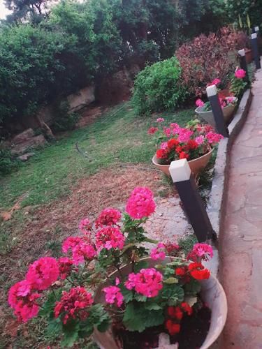 Outdoor Pictures 22