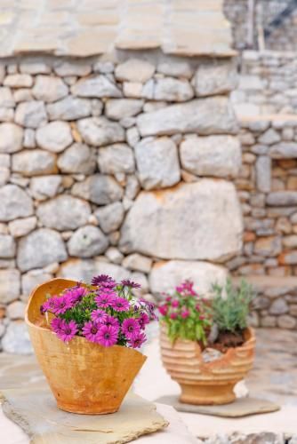 Outdoor Pictures 13