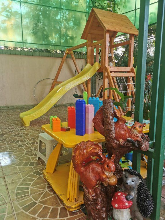 Outdoor Pictures 10