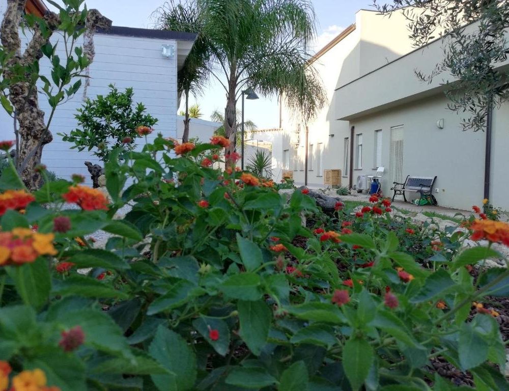 Outdoor Pictures 4