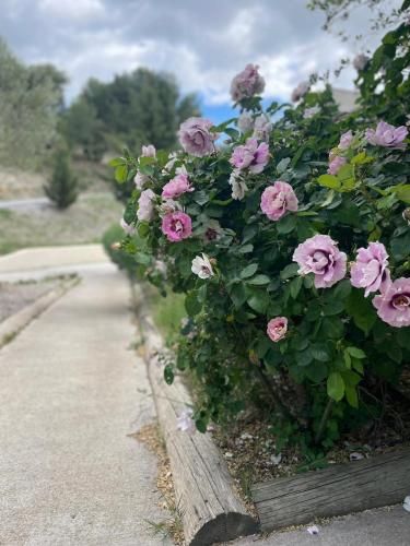Outdoor Pictures 15