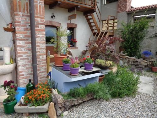 Outdoor Pictures 9
